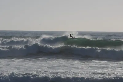 DSC_7057 (Large).JPG